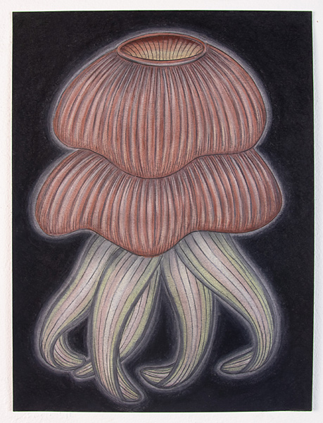 Black Drawing 169 AN10018