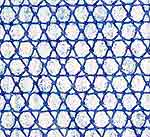 Aric Obrosey, DETAIL: Lace Field (Paris Star)