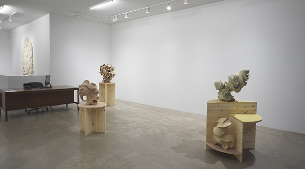 Installation View 2024 3