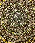 Barbara Takenaga, Yellow Spiral (S)