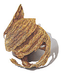David Morrison, Paper Wasp Series No. 2