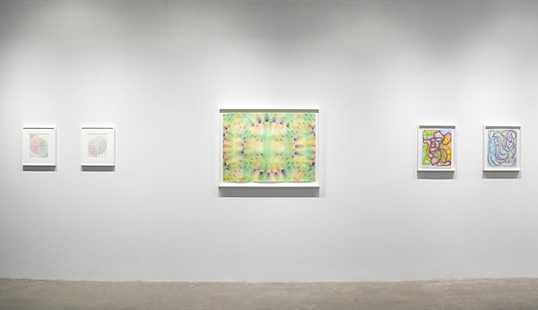 Colored Pencil Redux 2021 Installation view 8