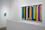Deborah Zlotsky, installation 15