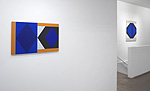 Don Voisine, 2025 installation 24