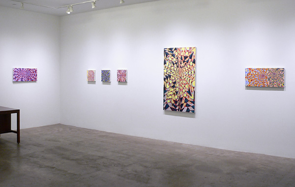 Installation View 2020 2