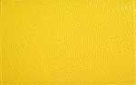 Daniel Hill, Untitled (Yellow)