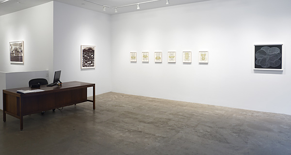 Ink 2022 Installation view 1