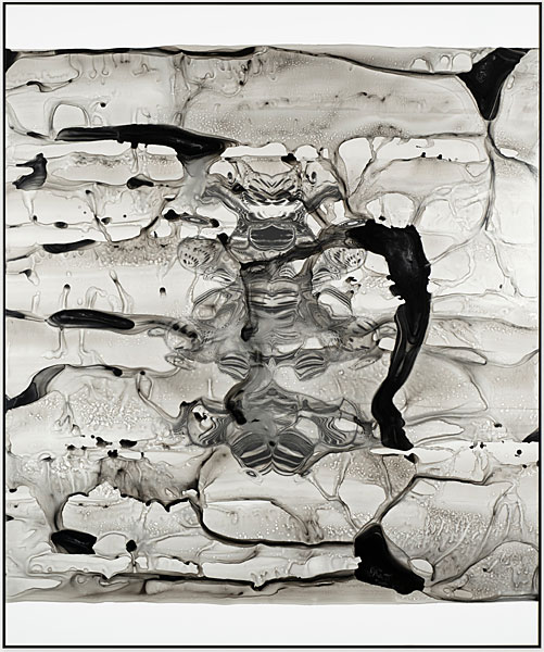 Fathom Compression #21  JBI10002