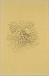  James Nelson, Untitled JN10141