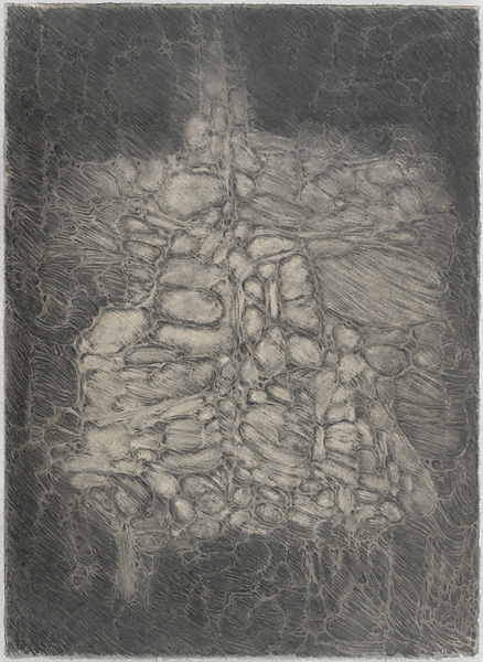 Untitled JN10243