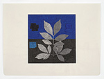 Jessica Deane Rosner, Black Leaf