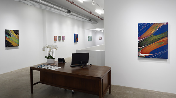 Installation View 2024 7