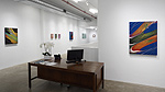 James Lecce, installation 7