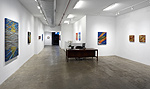James Lecce, installation 8