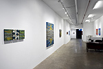 James Lecce, installation 9
