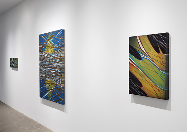 Installation View 2024 12
