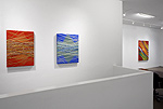 James Lecce, installation 15