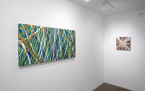 Installation View 2024 19