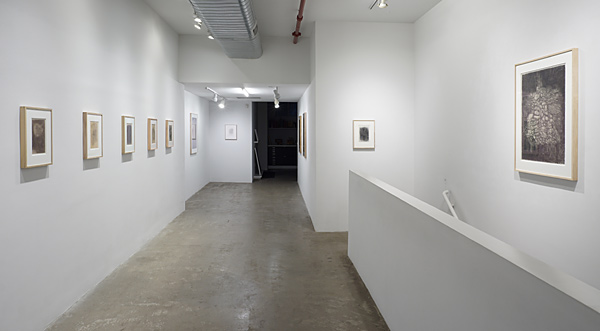 Installation View 2024 10
