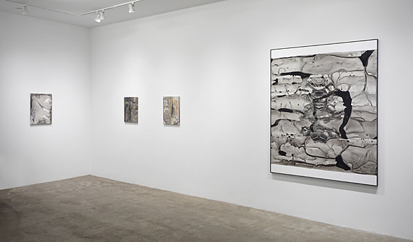 Installation View 2026 1