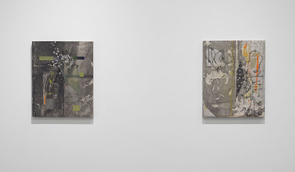 Installation View 2026 3