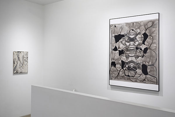 Installation View 2026 6