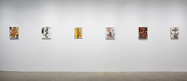 Installation View 2026 11