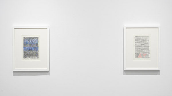 Installation View 2026 5