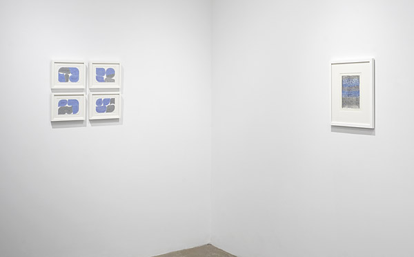 Installation View 2026 6