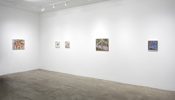 Installation View 2025 1