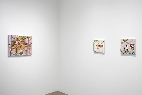 Installation View 2025 5