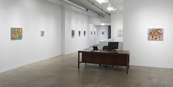Installation View 2025 9