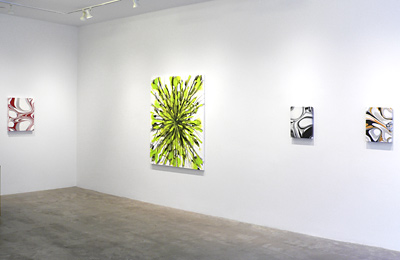 Installation View 2019 1