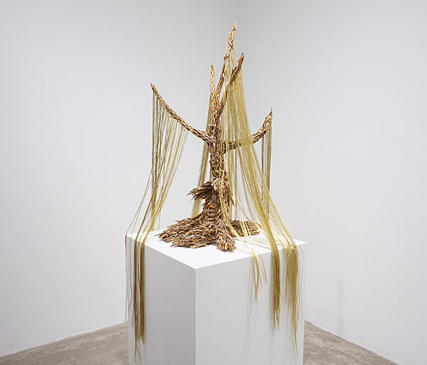 Installation View 2025-26 6