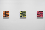 Maureen McQuillan, installation 10
