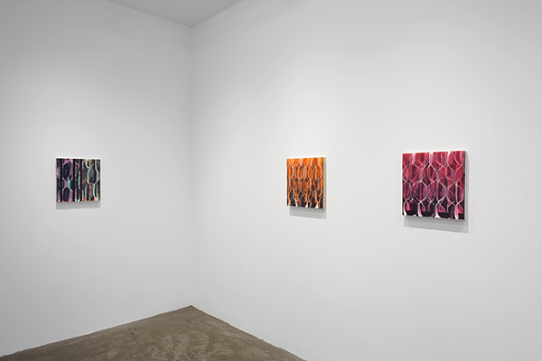 Installation View 2022 4