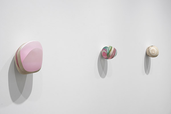 Installation View 2026 12