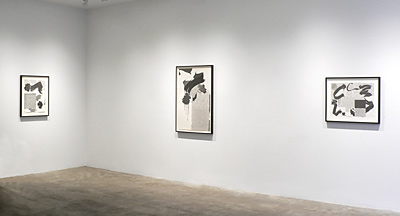 Installation View 2018 1