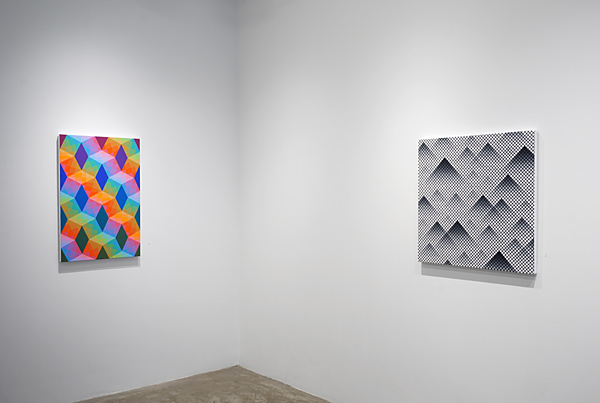 Installation View 2022 4