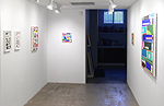 Gary Petersen, installation view 8