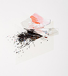 Reed Danziger, Words Fail