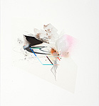 Reed Danziger, Where it Begins