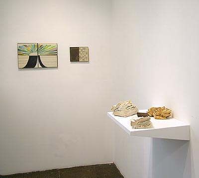 Installation view 2010 5