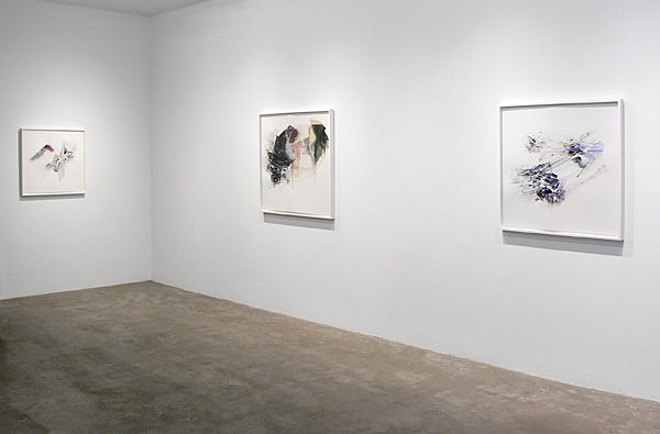 Installation view 2021 1