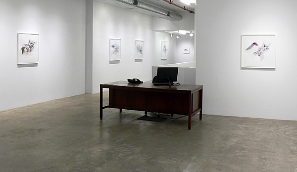 Installation view 2021 5