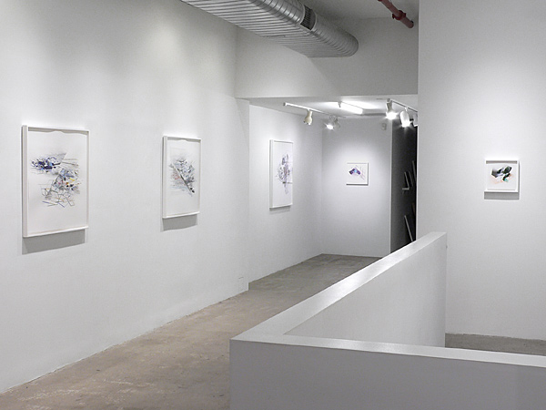 Installation view 2021 8