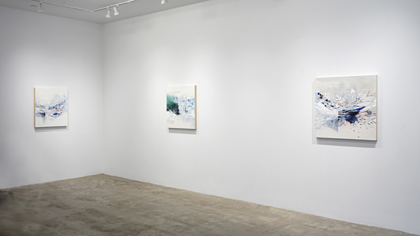 Installation View 2024 1