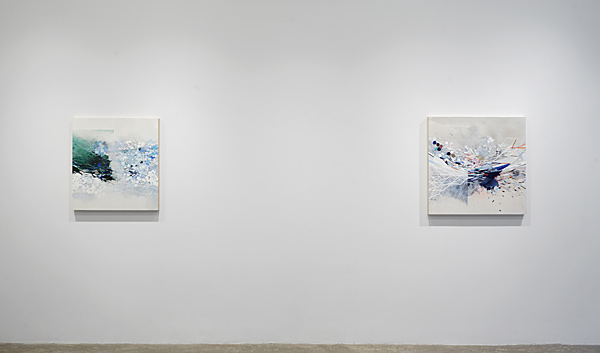 Installation View 2024 2