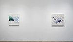 Reed Danziger, installation 2