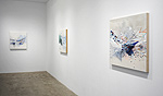 Reed Danziger, installation 3